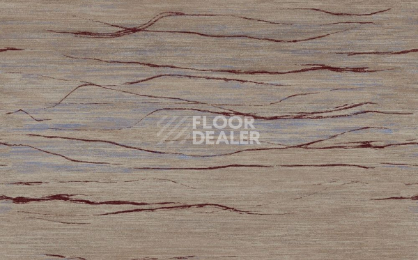 Ковролин Apoluza Wild 01 фото 1 | FLOORDEALER